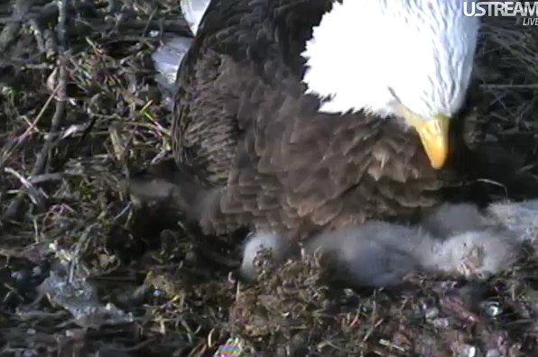 ScreenHunter_03 Apr. 04 19.16.jpg